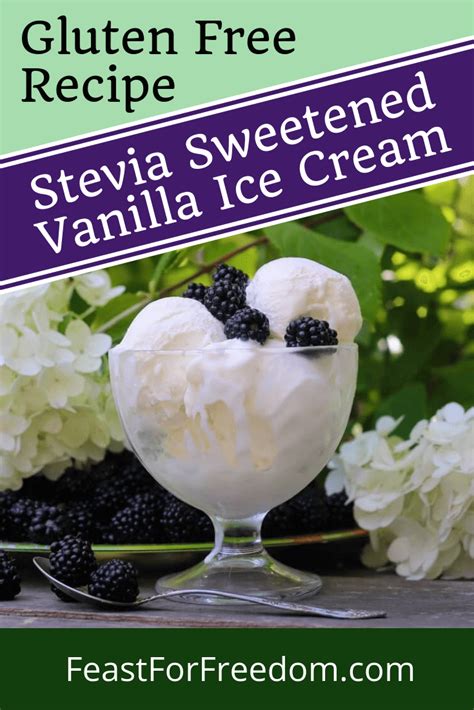 ice cream made with stevia