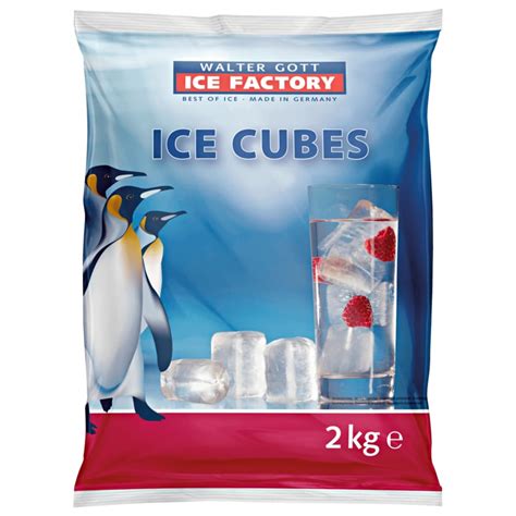 ice cubes factory