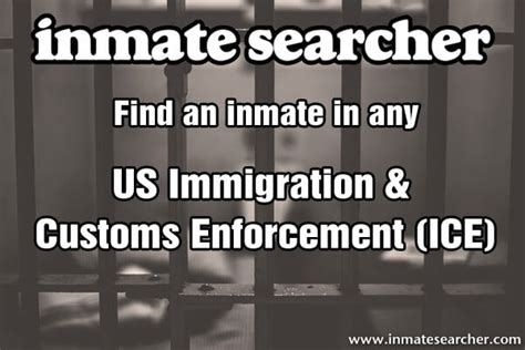 ice detention inmate search