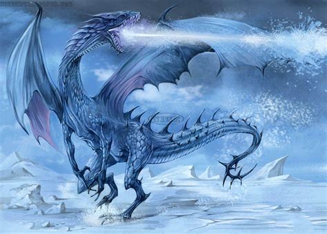 ice dragon pictures