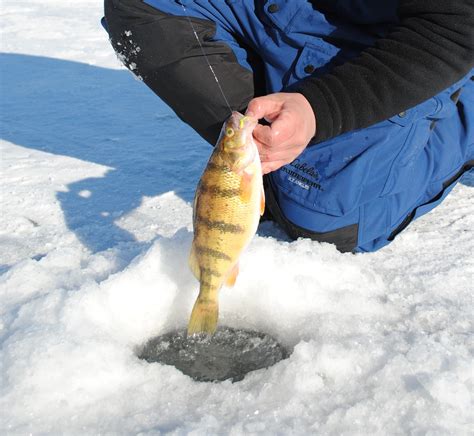 ice fishing images
