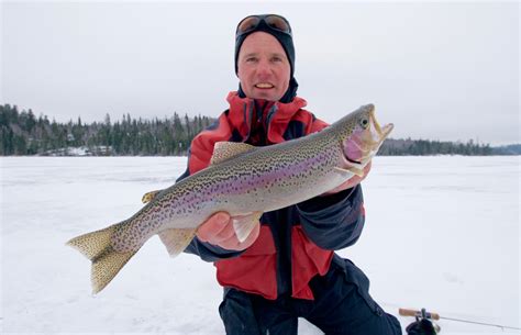 ice fishing rainbow trout
