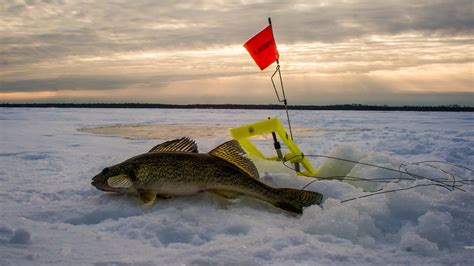 ice fishing red lake