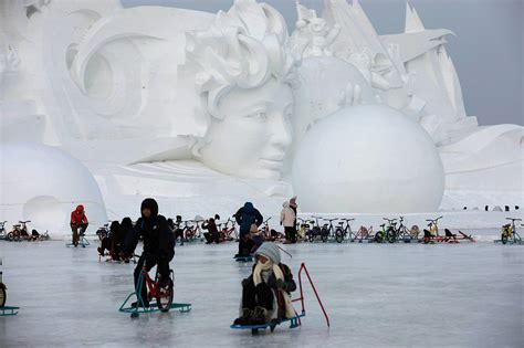 ice ice festival
