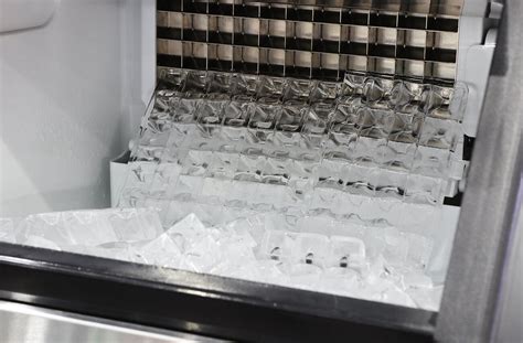 ice machine mold