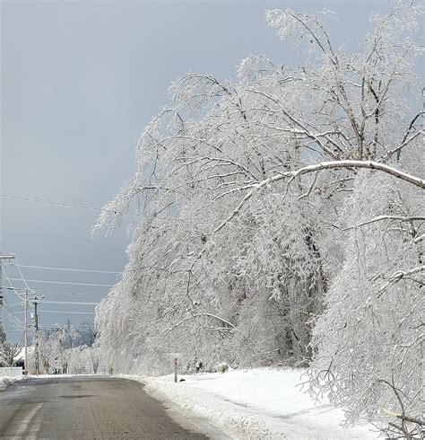 ice storm in tennessee