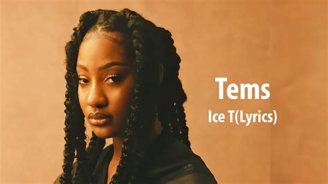 ice t tems lyrics