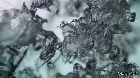 ice under microscope