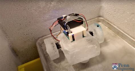 icebot