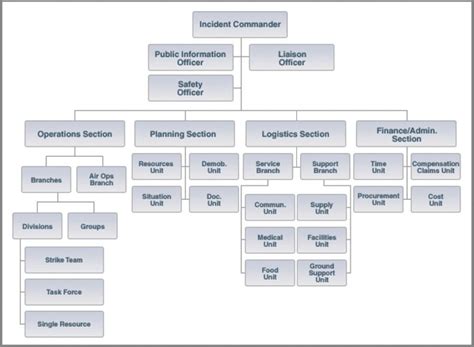 ics structure diagram 