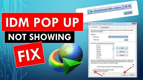 idm pop up not showing, How to fix idm not showing download bar in google chrome