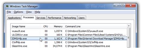 idmgrhlp.exe internet download manager module, Idm破解版下载-internet download manager(idm下载器)官方下载-华军软件园