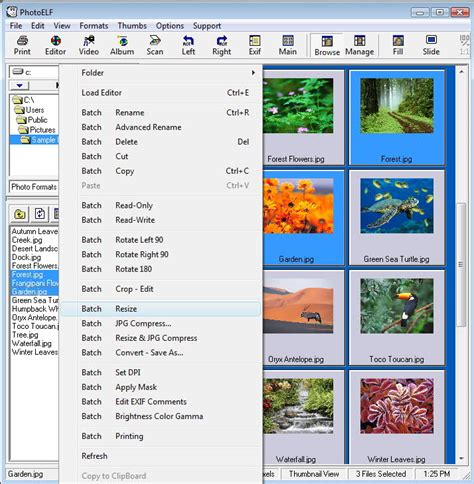 image resize free batch, Free batch photo resizer, programa para convertir imágenes por lotes