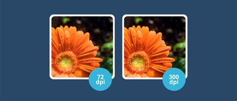 imagem de 150 dpi, Resolução de imagem vs dpi