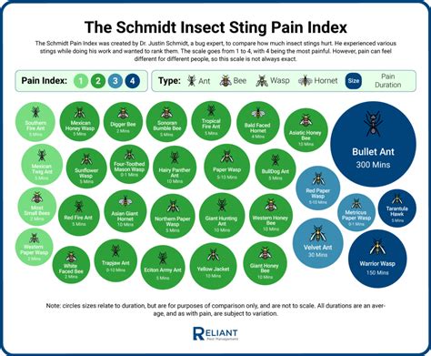Insect Sting Pain Chart