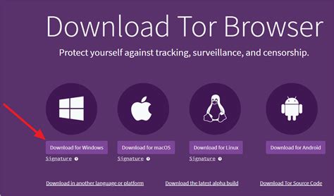 install start tor browser on windows 11, How to install tor browser on windows 11