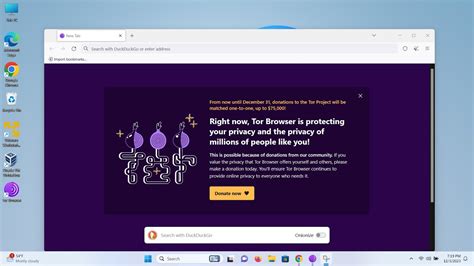 install tor browser windows 11, How to install tor browser on windows 11