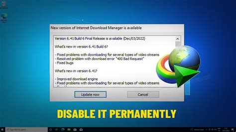 internet download manager stop update check, Internet download manager download for free in 2023