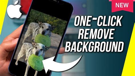 iphone app camera remove background, How to remove the background of a photo on iphone
