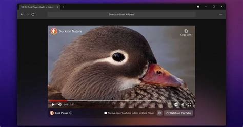 is duckduckgo browser secure, My take on the new duckduckgo browser for windows