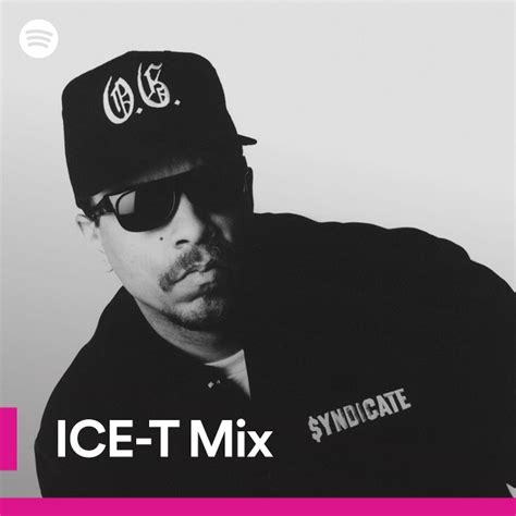 is ice t mixed