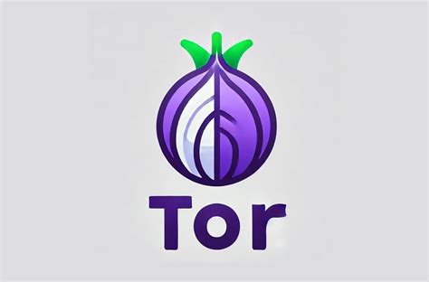 is tor a proxy server, Tor browser proxy use works unencrypted arrows data red. What is tor browser and how to use it