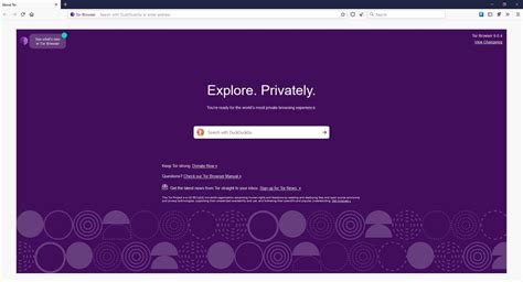 is tor browser private, 5 best privacy browsers for private browsing anonymously. Browsing private browser tor privacy browsers anonymously dark why web go