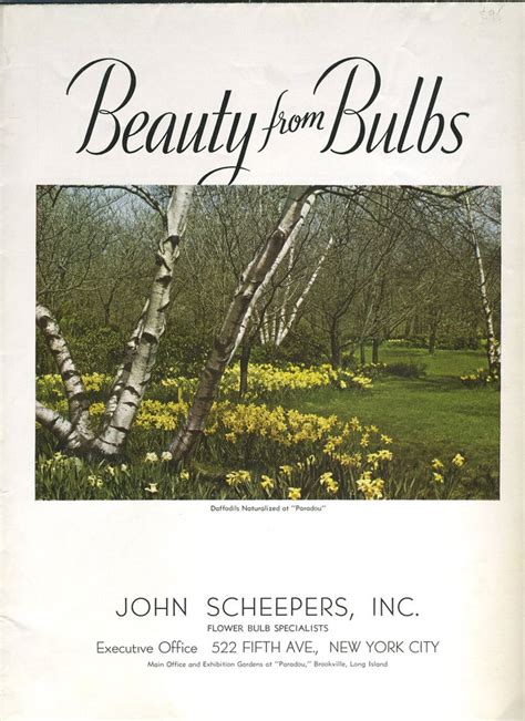 John Scheepers Bulbs Catalog