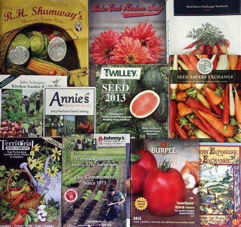 John Scheepers Seeds Catalog