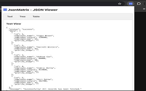 json viewer chrome plugin, Json helper chrome. Firefox's json viewer is not working: use these add-ons and web tools