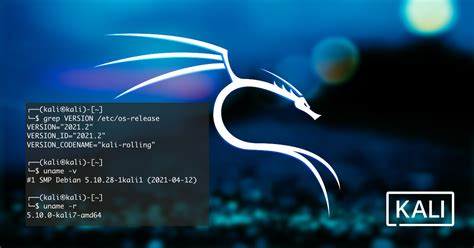 kali linux on web, Hacking with kali linux web service hacking. Kali hacking benisnous