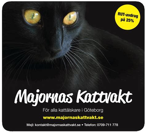 kattvakt göteborg