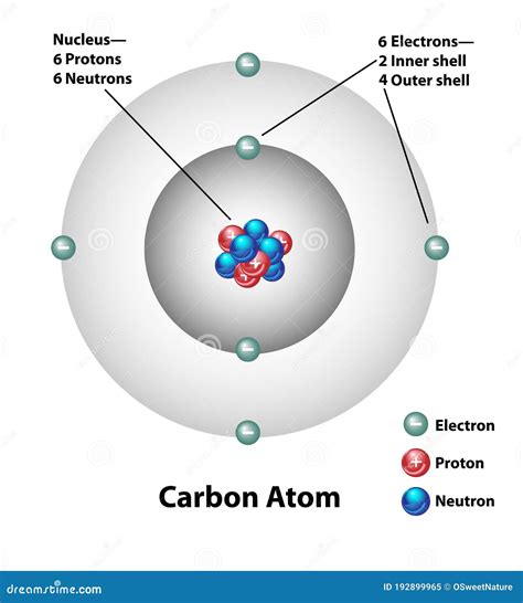 labeled diagram of carbon atom 