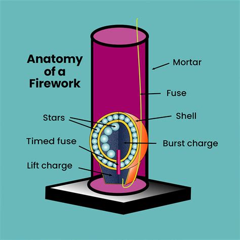 labelled diagram of a firework 