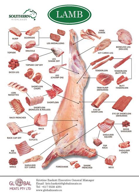 lamb meat diagram 