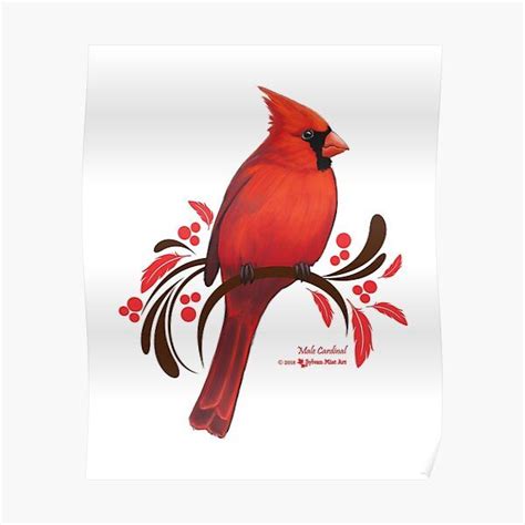 latest The Cardinal