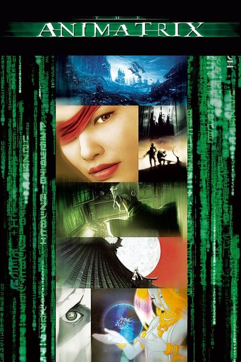 le streaming Animatrix