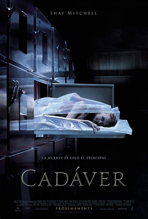 le streaming Cadaver