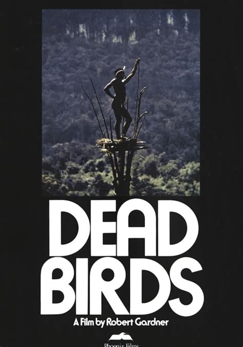 le streaming Dead Birds