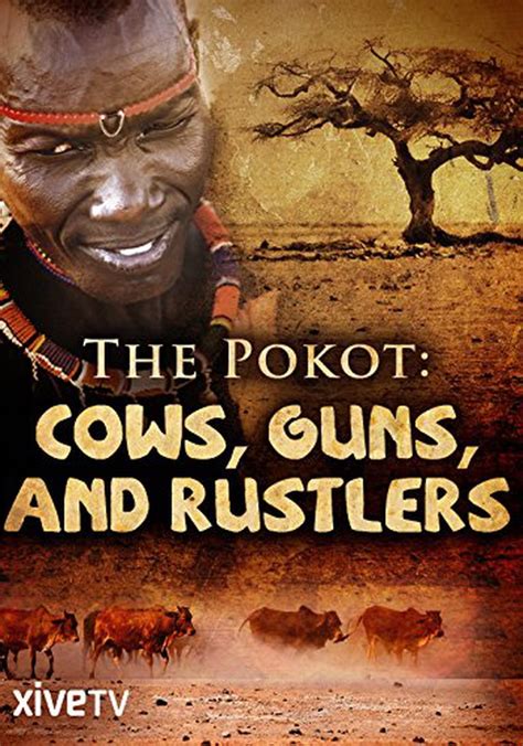 le streaming Pokot