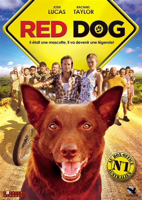 le streaming Red Dog