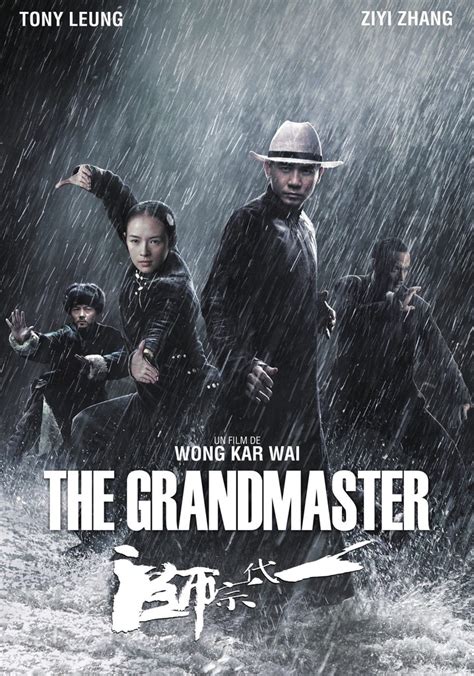 le streaming The Grandmaster