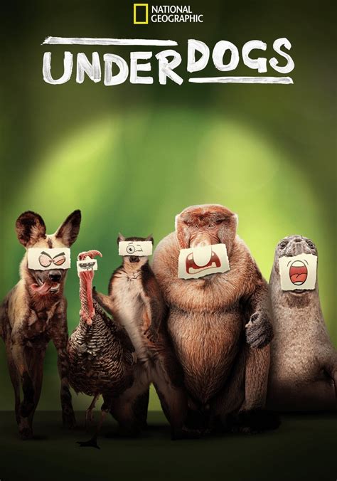 le streaming Underdogs