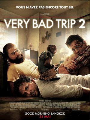 le streaming Very Bad Trip 2