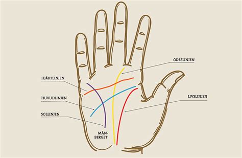 linjer i handen