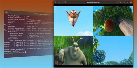 linux video player with thumbnail preview, Lightweight video player linux. Linux player