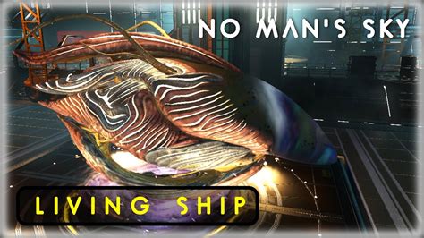 Living Ship Walkthrough
