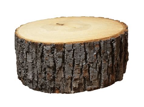 log cut no background, Premium psd
