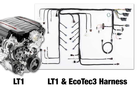 lt1 wiring harness and computer 