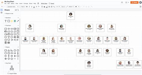 Lucidchart Org Chart